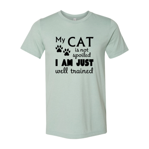 DT0175 My Cat Is Not Spoiled Shirt - Infinity Beautiful Boutique