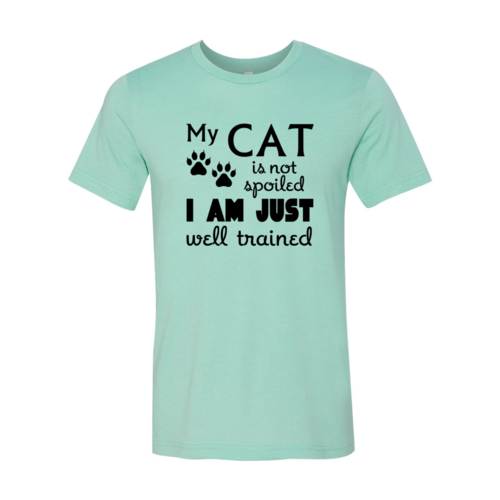 DT0175 My Cat Is Not Spoiled Shirt - Infinity Beautiful Boutique