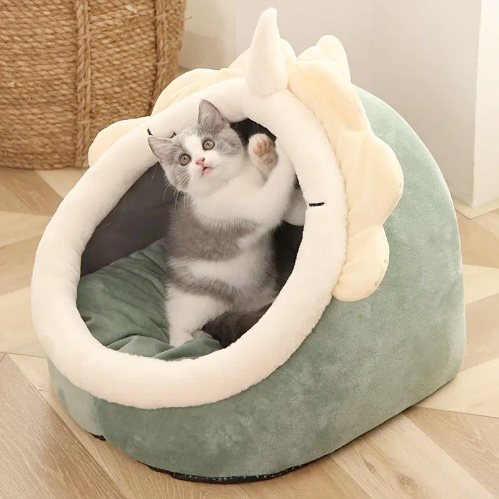 Adorable Dinosaur Pet House & Toy Set Cat