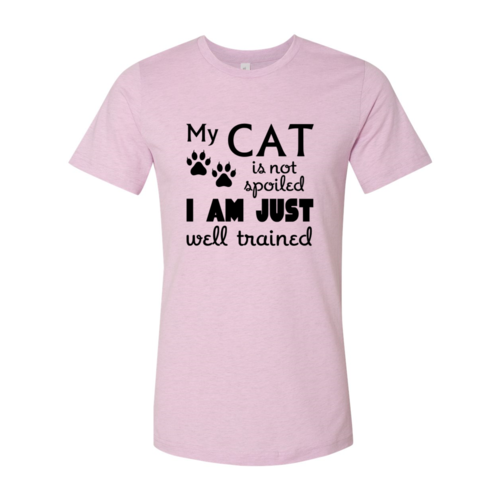 DT0175 My Cat Is Not Spoiled Shirt - Infinity Beautiful Boutique