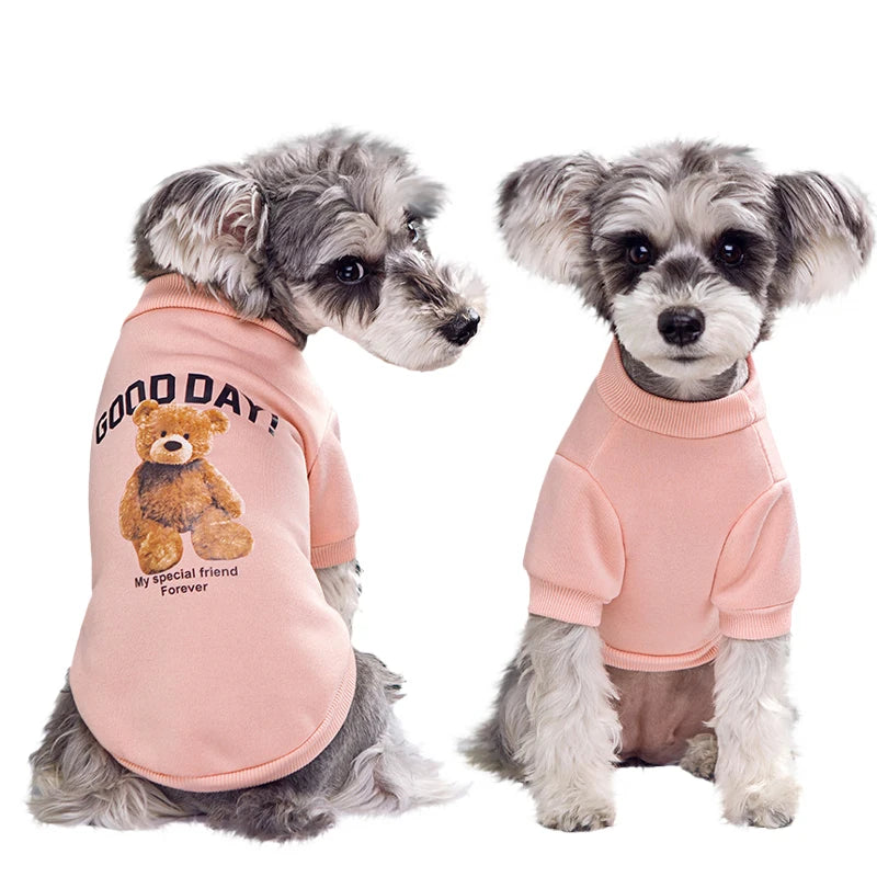 Bear Pet Jacket for Dogs & Cats