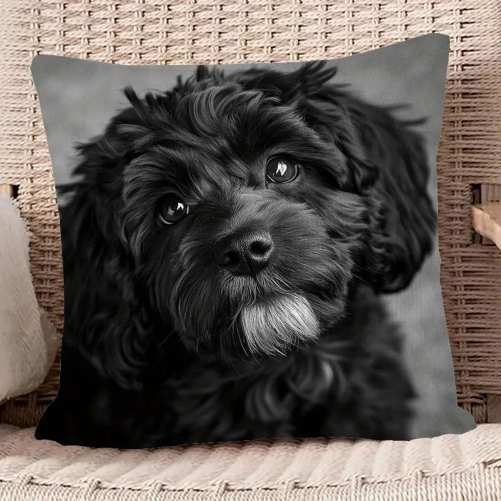 Printed Square Decorative Pillow Cover