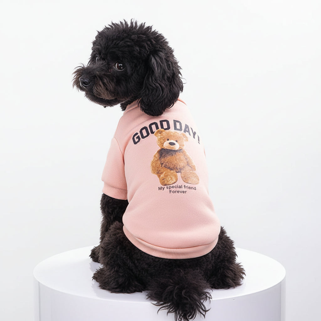 Bear Pet Jacket for Dogs & Cats