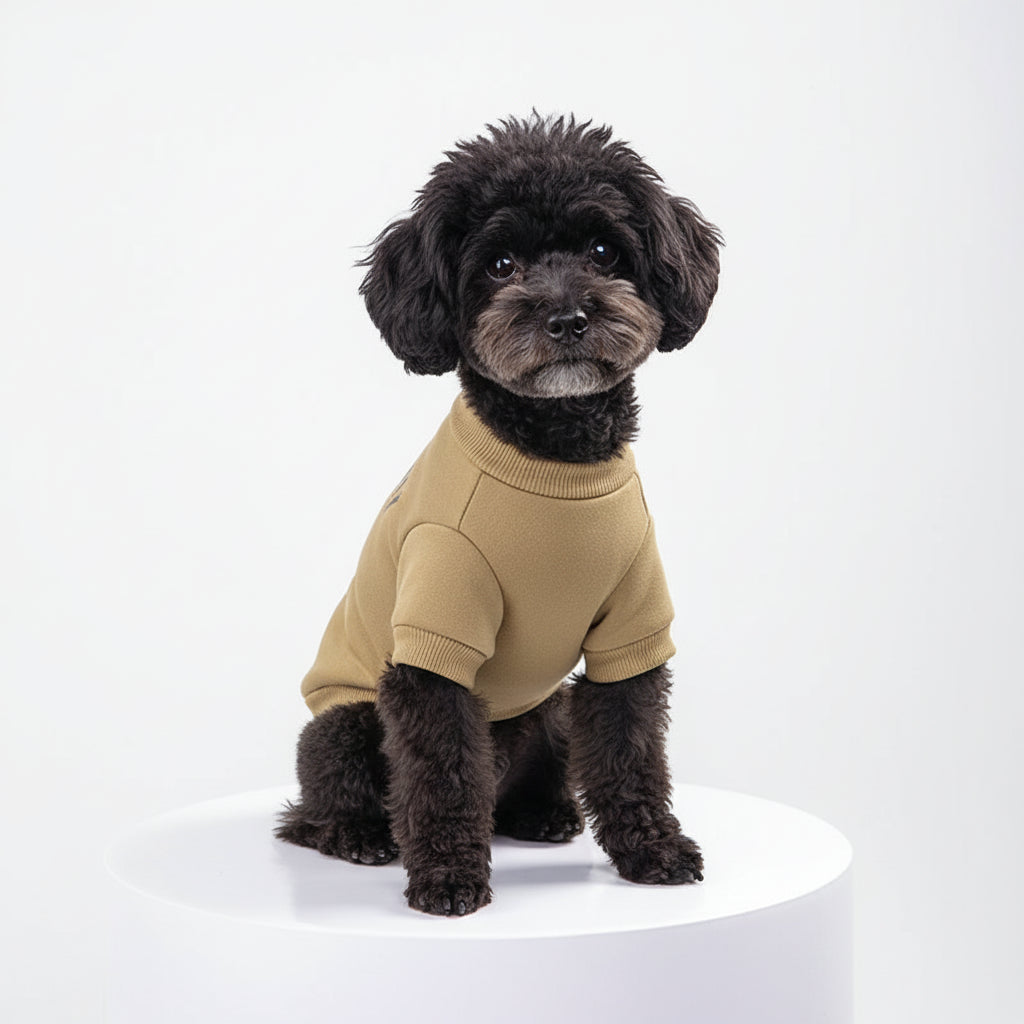 Bear Pet Jacket for Dogs & Cats