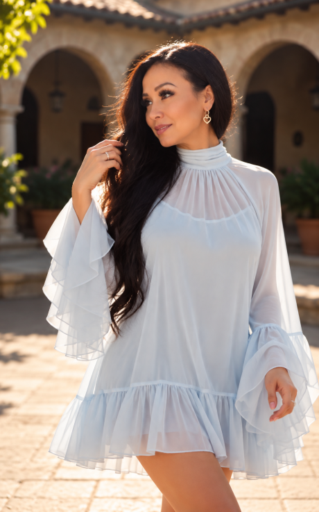 Sheer Ruffle Mini Dress